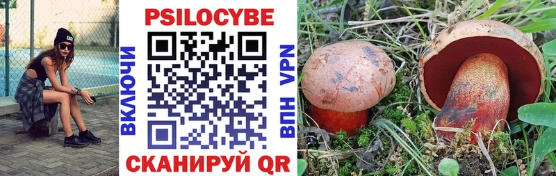 KRAKEN   Лесосибирск  Галлюциногенные грибы Psilocybine cubensis 